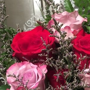 Meet your Posher, Shelley